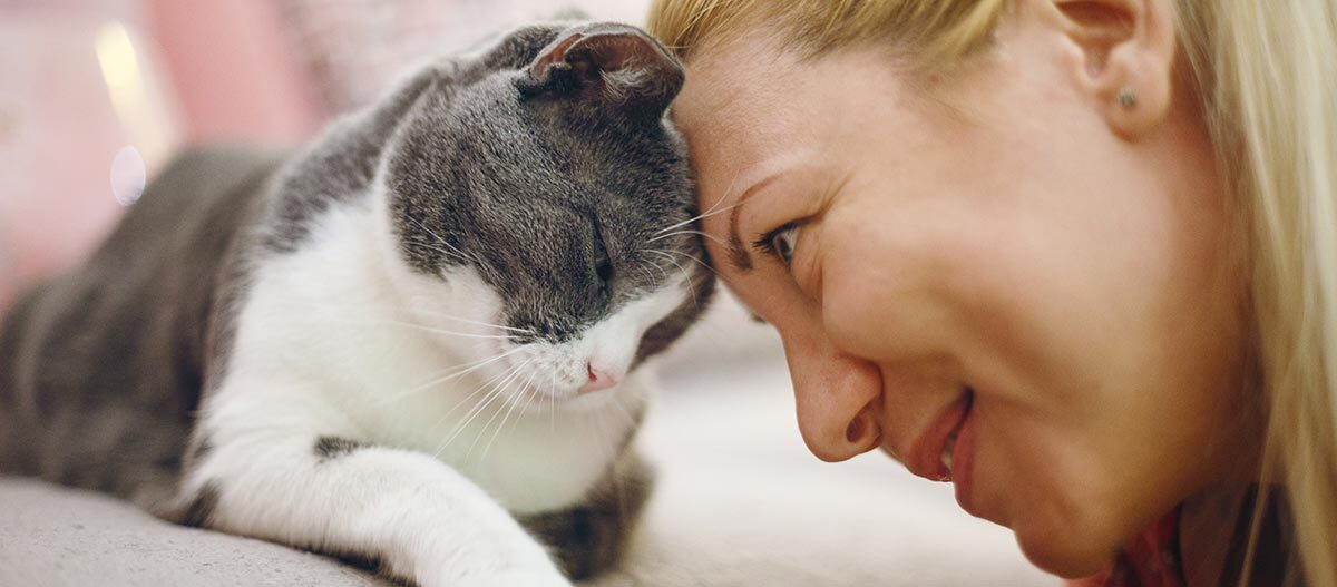 Katze kuschelt mit Haustierbesitzerin Katze kuschelt mit Haustierbesitzerin