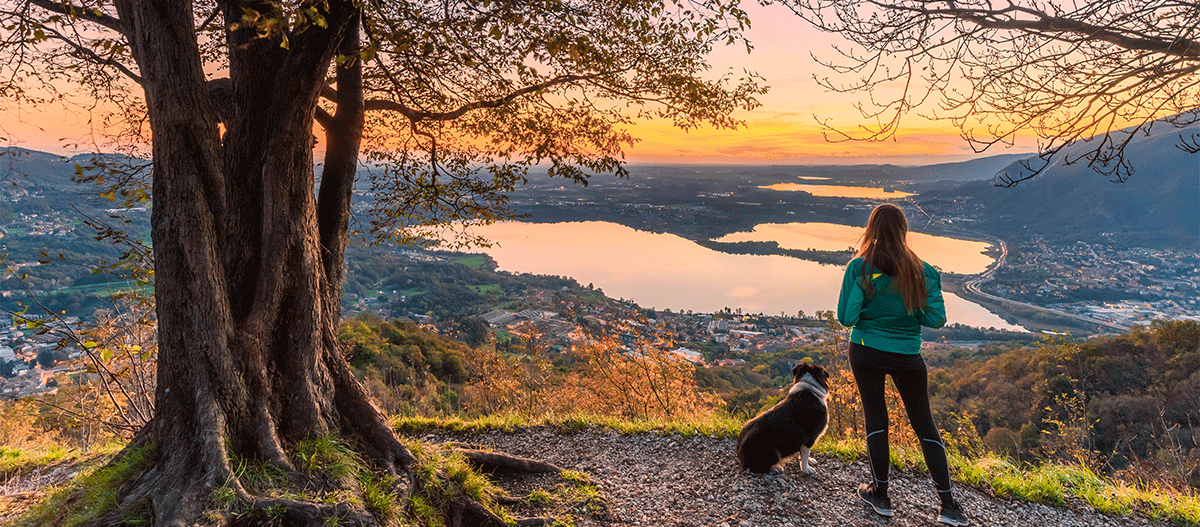 urlaub-hund-italien Urlaub mit Hund in Italien
