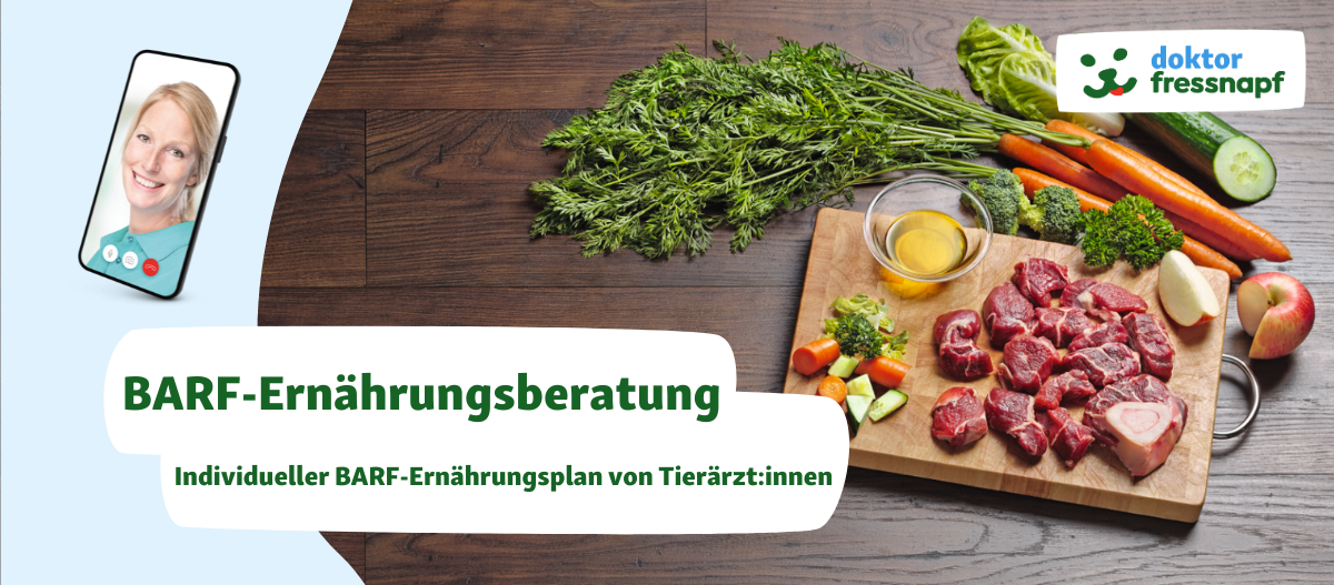 Banner BARF-Ernährungsberatung (1200x527)