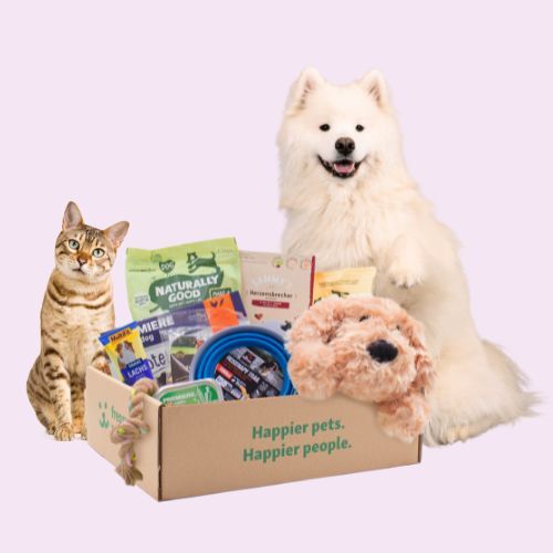 Box Sub Service oben