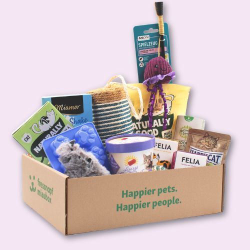 Box Sub Service unten