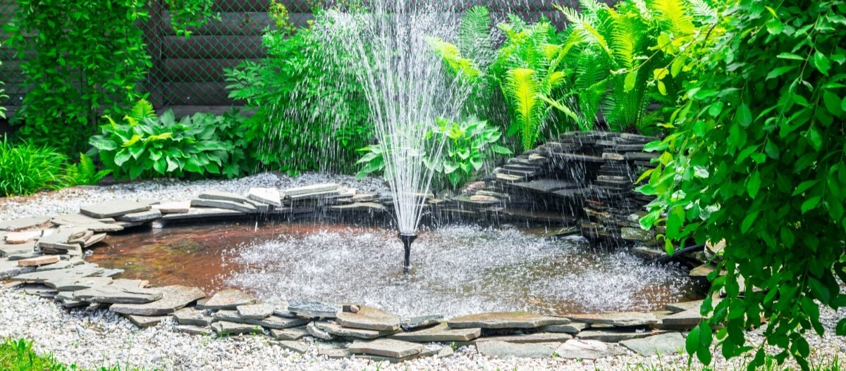 Teichpflege-6686ae857c02c