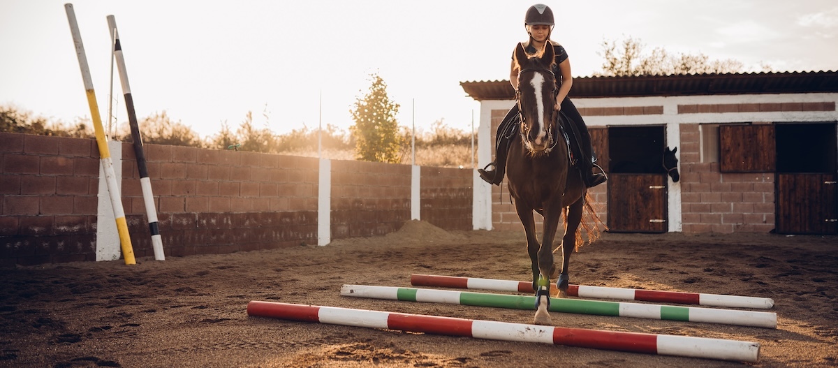 Pferd geht über mehrere am bodenliegende Stangen. Pferd geht über mehrere am bodenliegende Stangen.