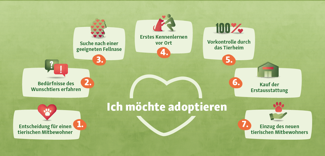 schritte-haustier-adoptieren