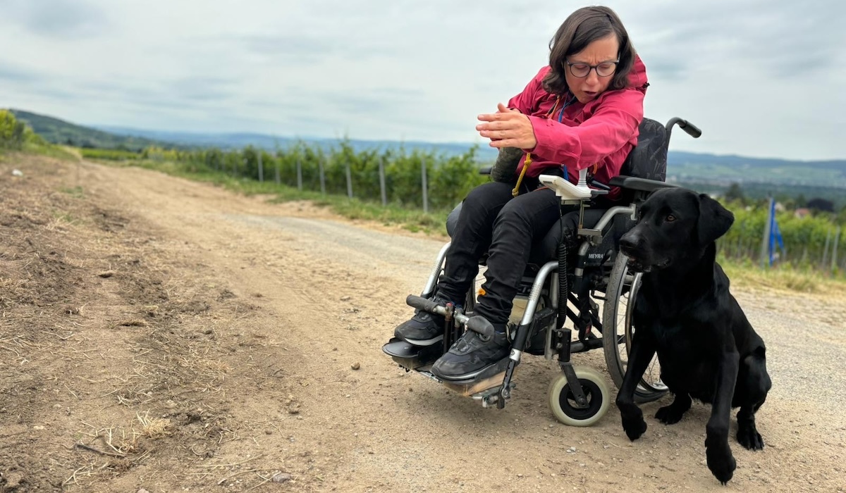 VITA e.V. Assistenzhunde