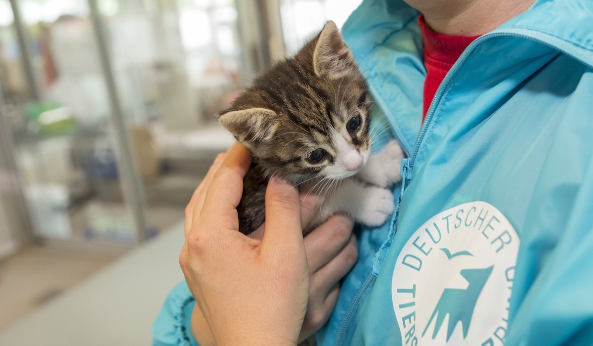 Arbeit im Tierheim Berlin
