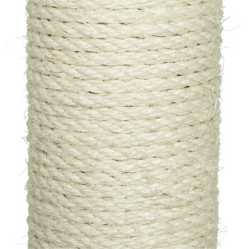 Kratzbaum_ Molly_1019530_6.PNG