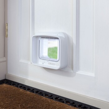 Lifestyle-with-DualScan-Microchip-Cat-Flap-2.jpg