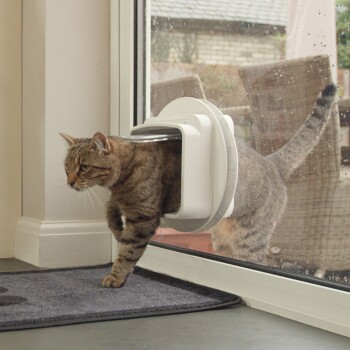 1084162 DualScan Weiss Lifestyle.jpg